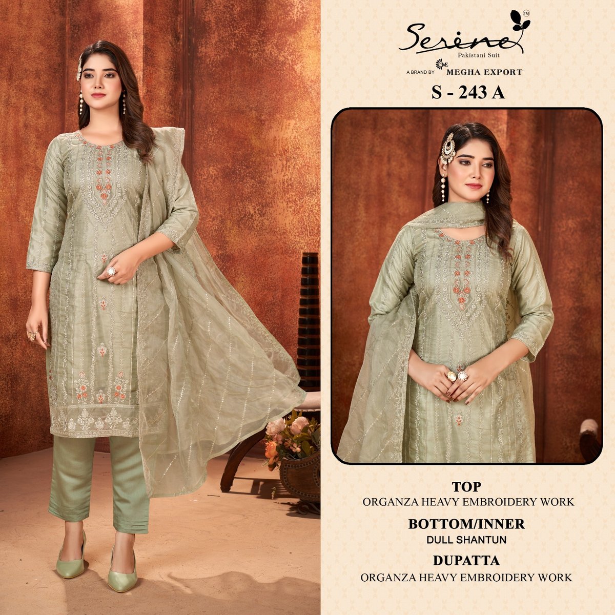 SERINE S-243-A TO S-243-D 1