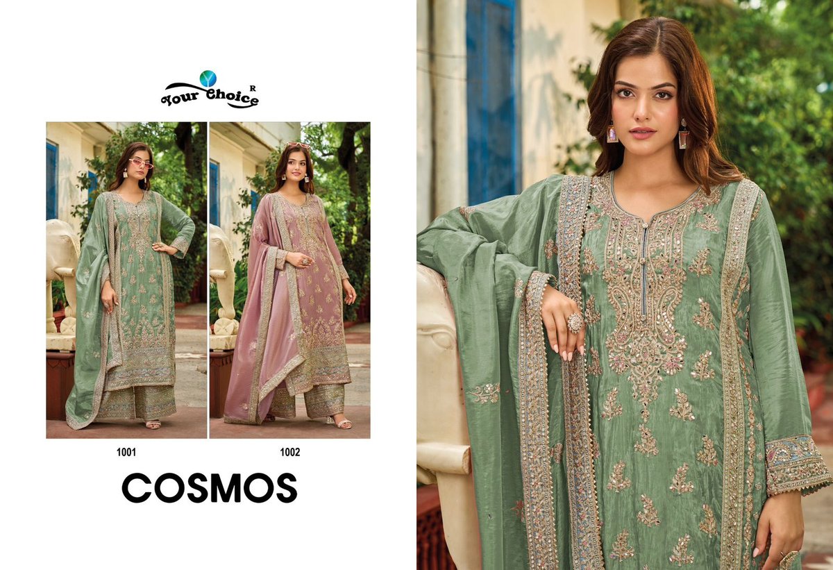YOUR CHOICE COSMOS 1001-1002 3