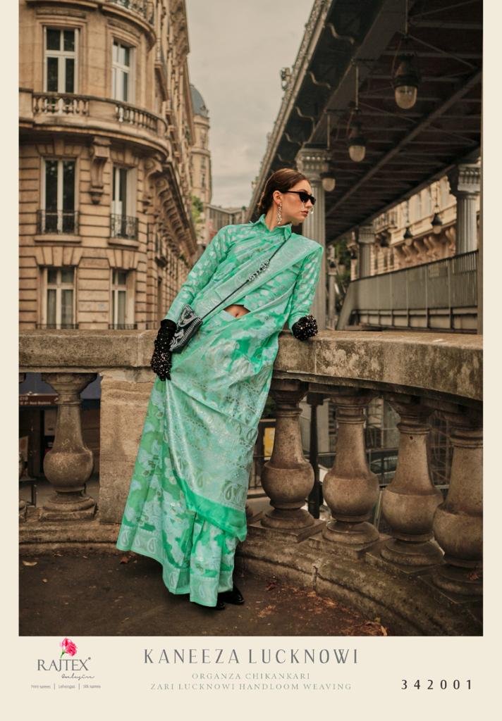 Rajtex Fabrics Kaneeza Lucknowi 342001-342010 Series 1