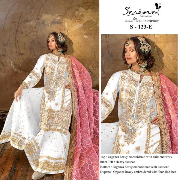 SERINE S-123-E TO S-123-F