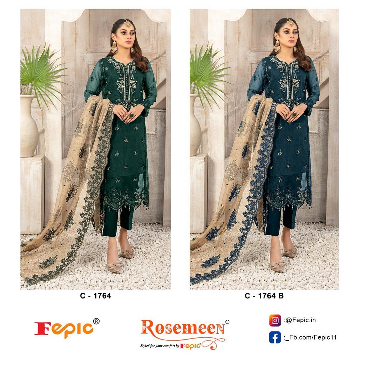 FEPIC ROSEMEEN C-1764-A TO C-1764-B 3