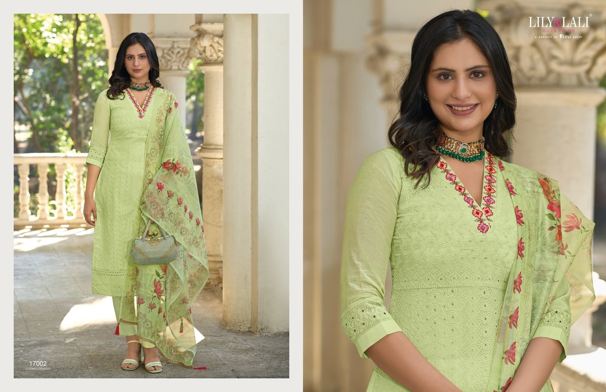 LILY & LALI KASHISH 17001 TO 17006 2