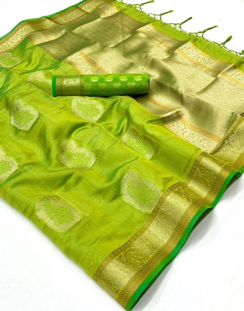 Rajtex Fabrics Kabinni Organza 315001-315006 Series 4
