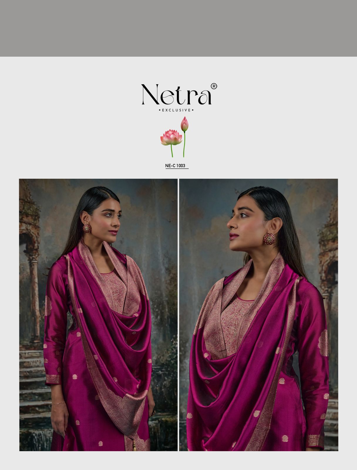 NETRA EXCLUSIVE VRISA SERIES NE-C1001 TO NE-1006 13