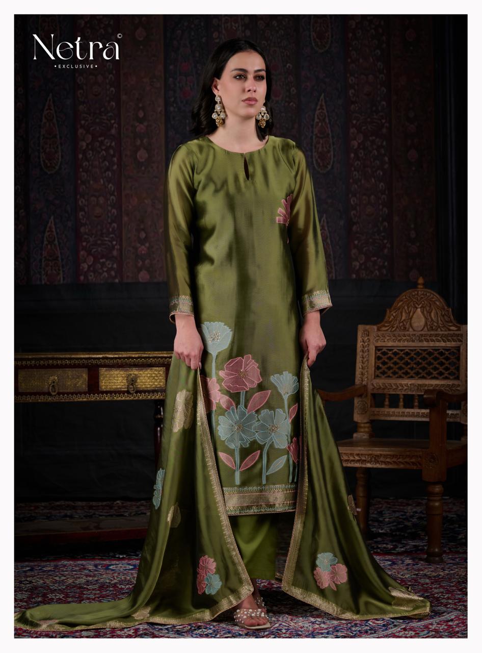 NETRA EXCLUSIVE MAHANI 1197A TO 1197F 3