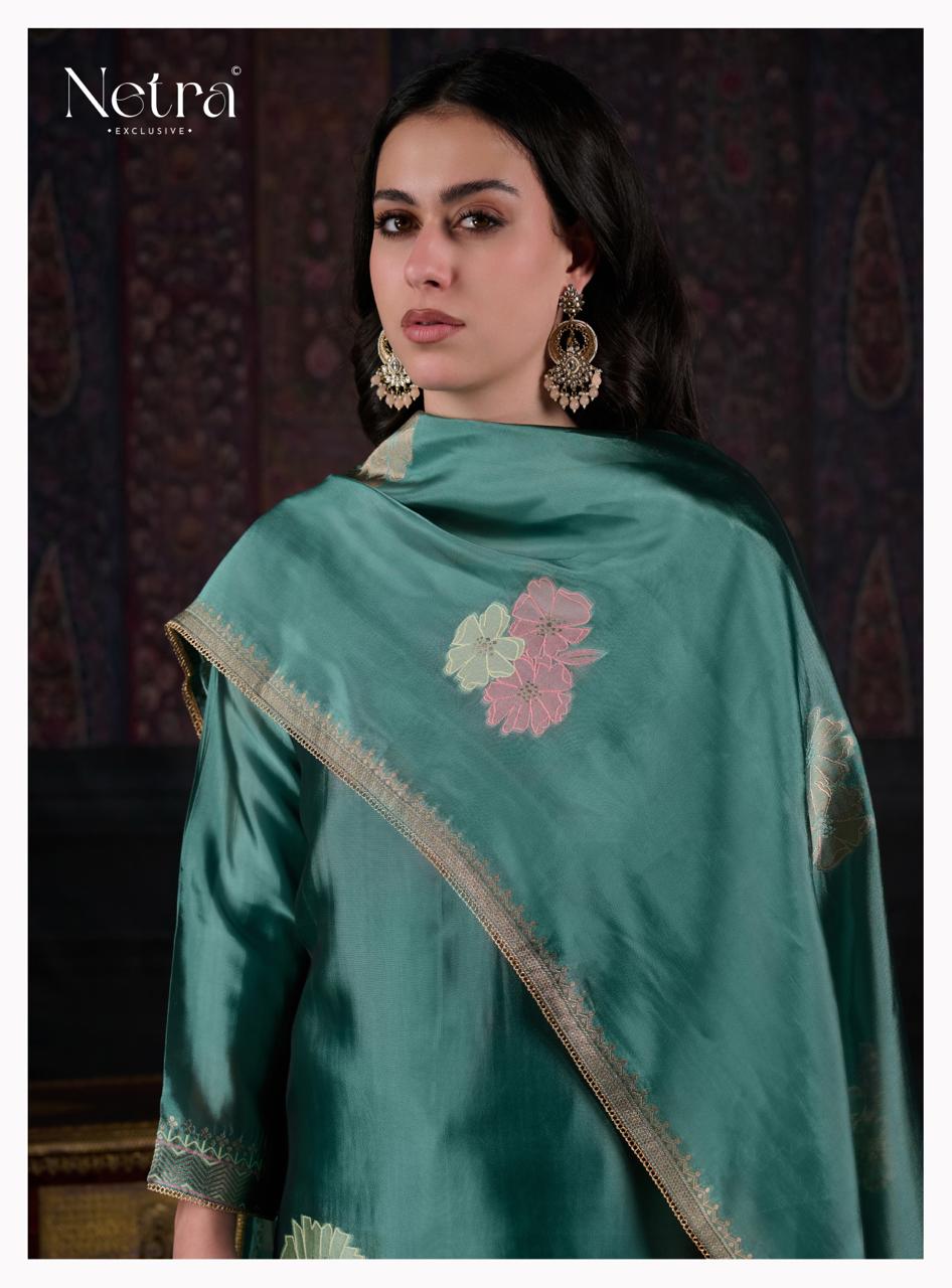 NETRA EXCLUSIVE MAHANI 1197A TO 1197F 13