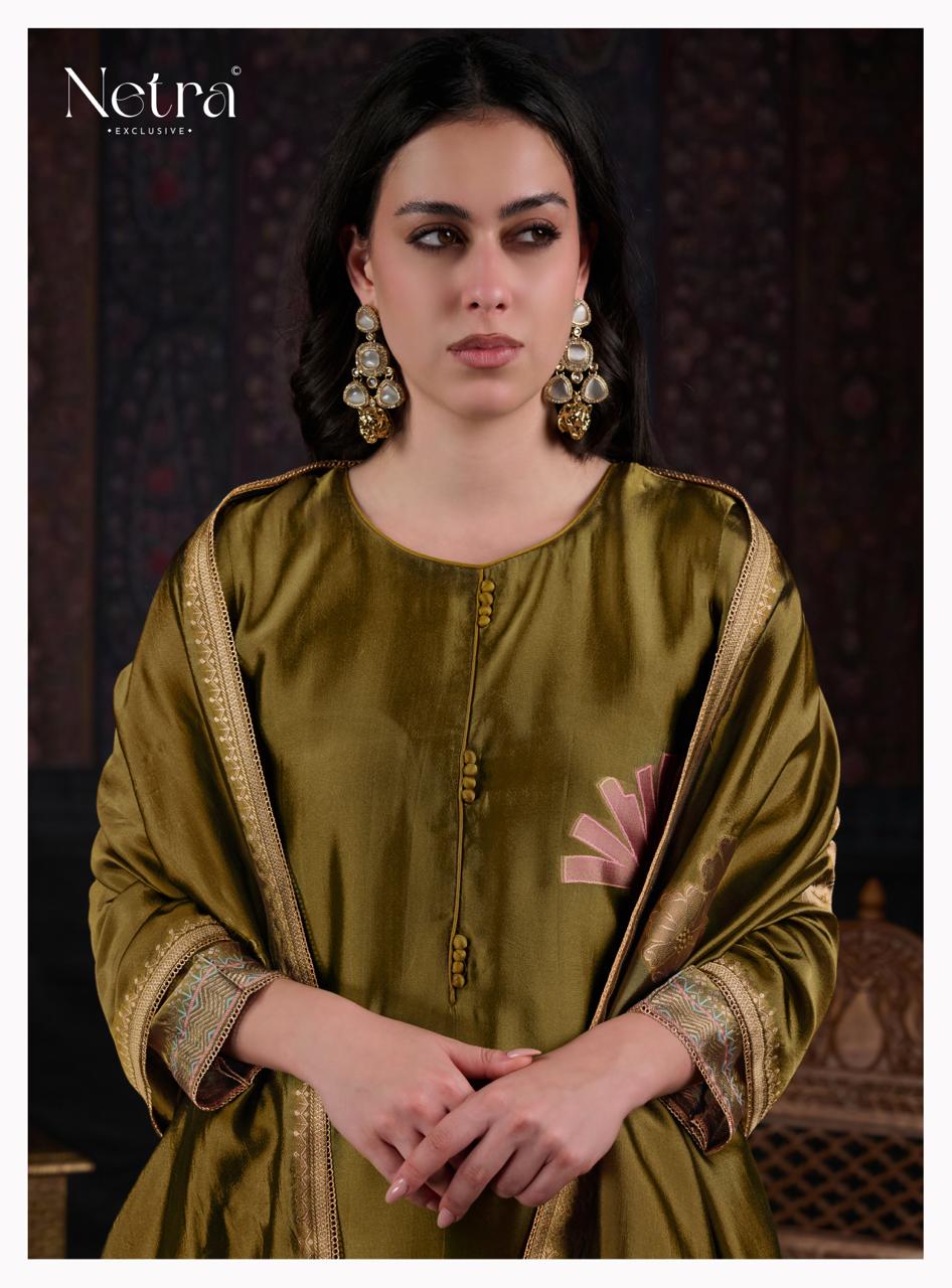 NETRA EXCLUSIVE MAHANI 1197A TO 1197F 5