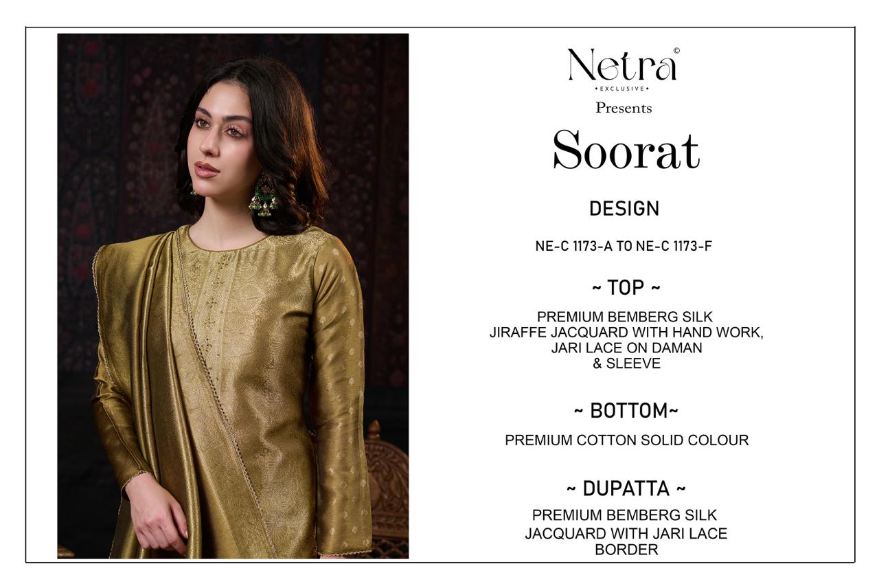 NETRA EXCLUSIVE SOORAT SERIES 1173A TO 1173F 7
