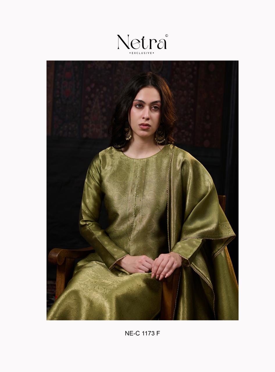 NETRA EXCLUSIVE SOORAT SERIES 1173A TO 1173F 6