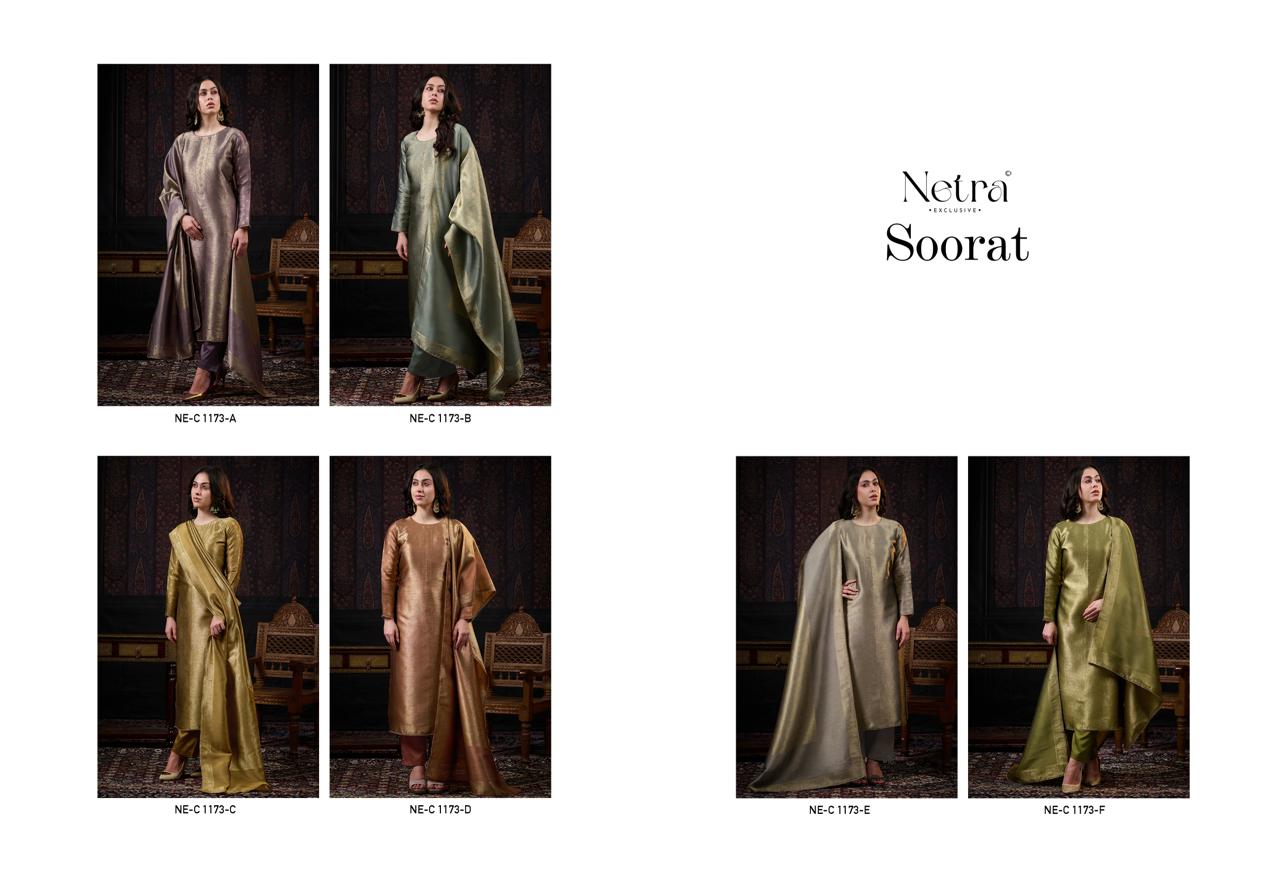 NETRA EXCLUSIVE SOORAT SERIES 1173A TO 1173F 3
