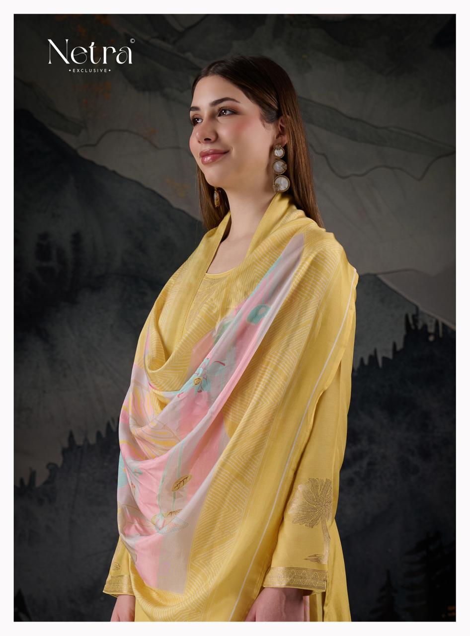 NETRA EXCLUSIVE AARNA SERIES NE-1183A TO 1183F 13