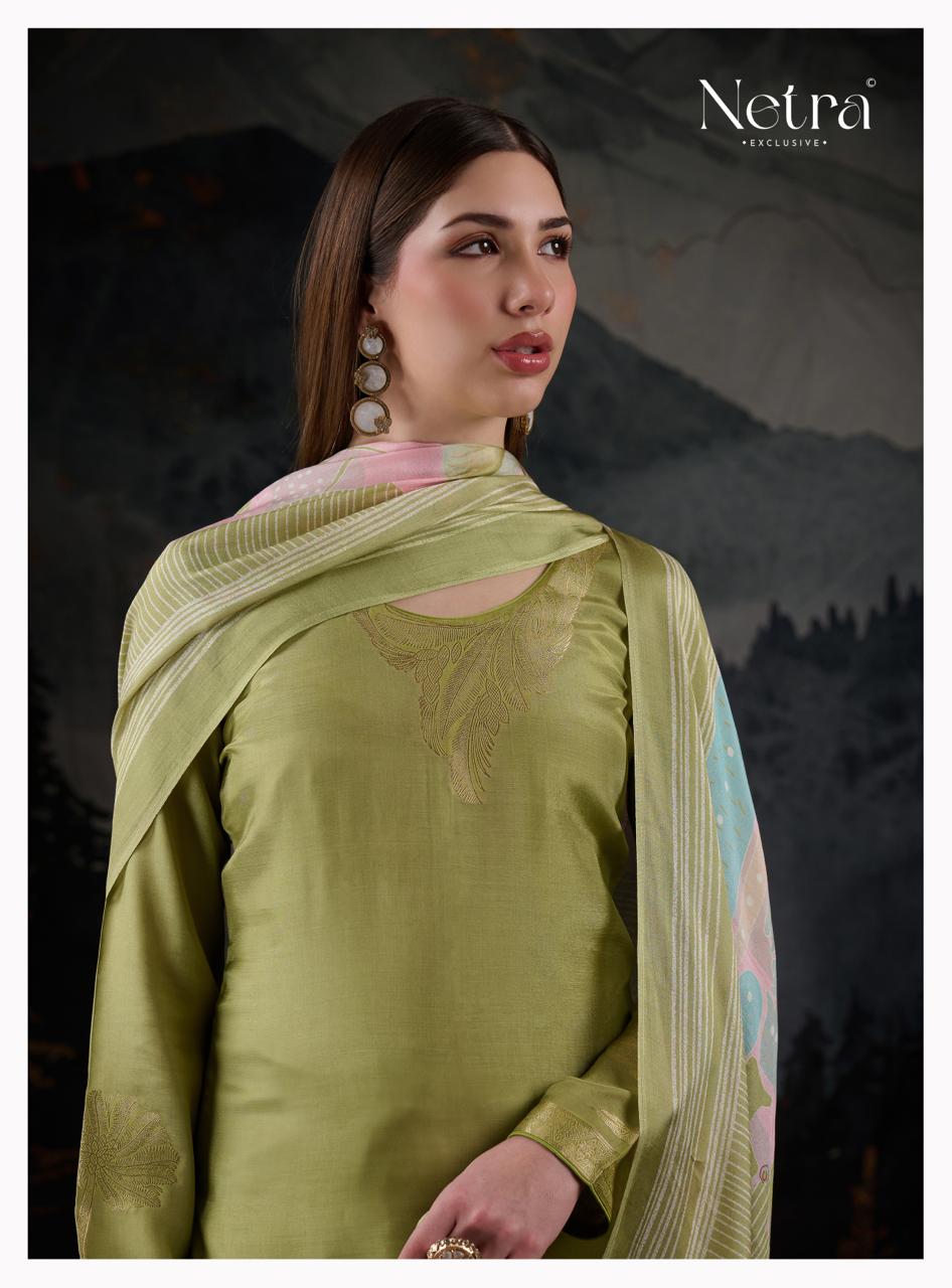 NETRA EXCLUSIVE AARNA SERIES NE-1183A TO 1183F 3