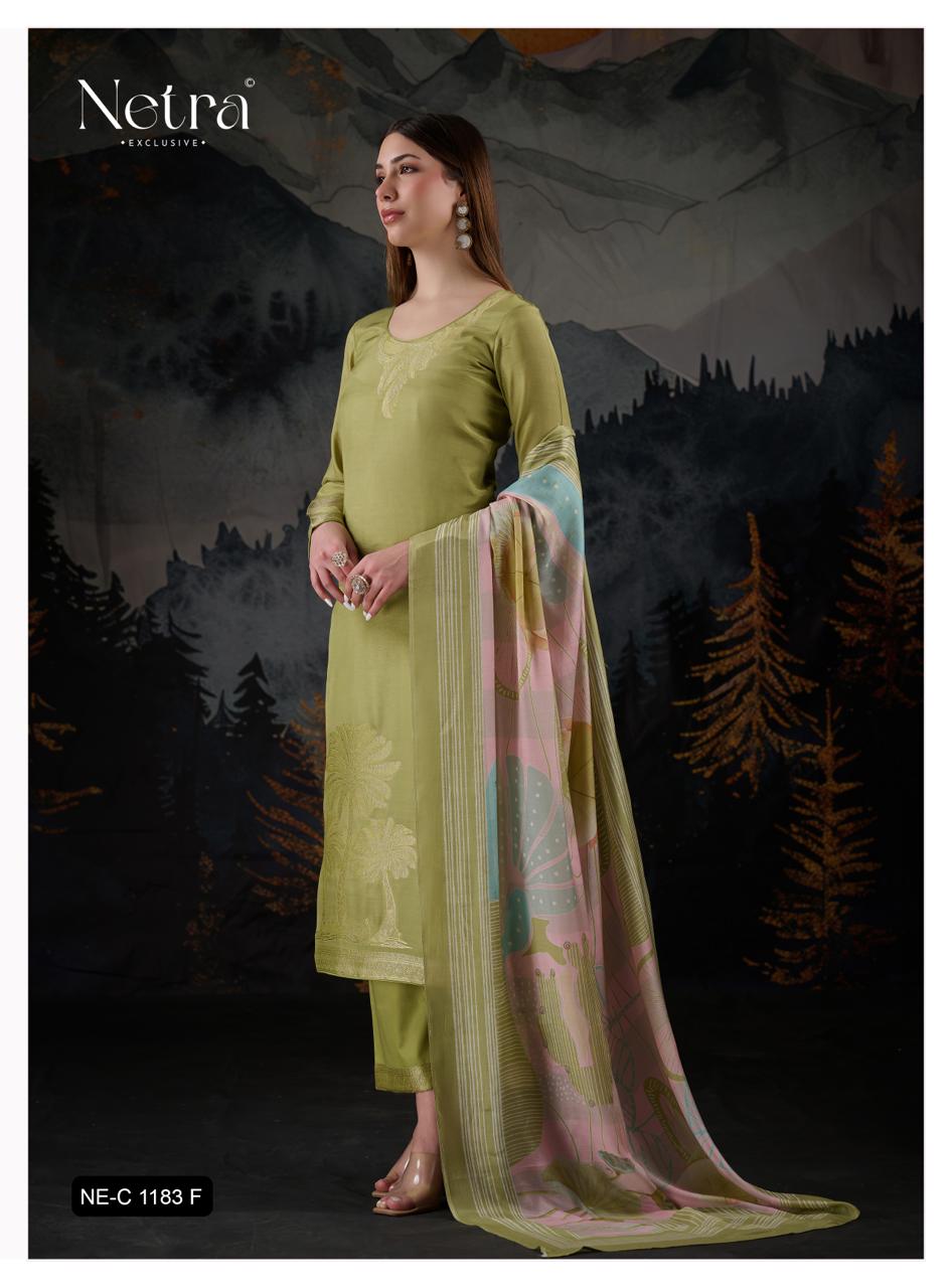 NETRA EXCLUSIVE AARNA SERIES NE-1183A TO 1183F 4