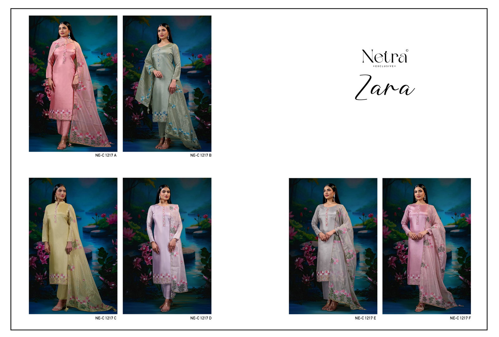 NETRA EXCLUSIVE ZARA SERIES NE-C1217A TO NE-C1217F 17