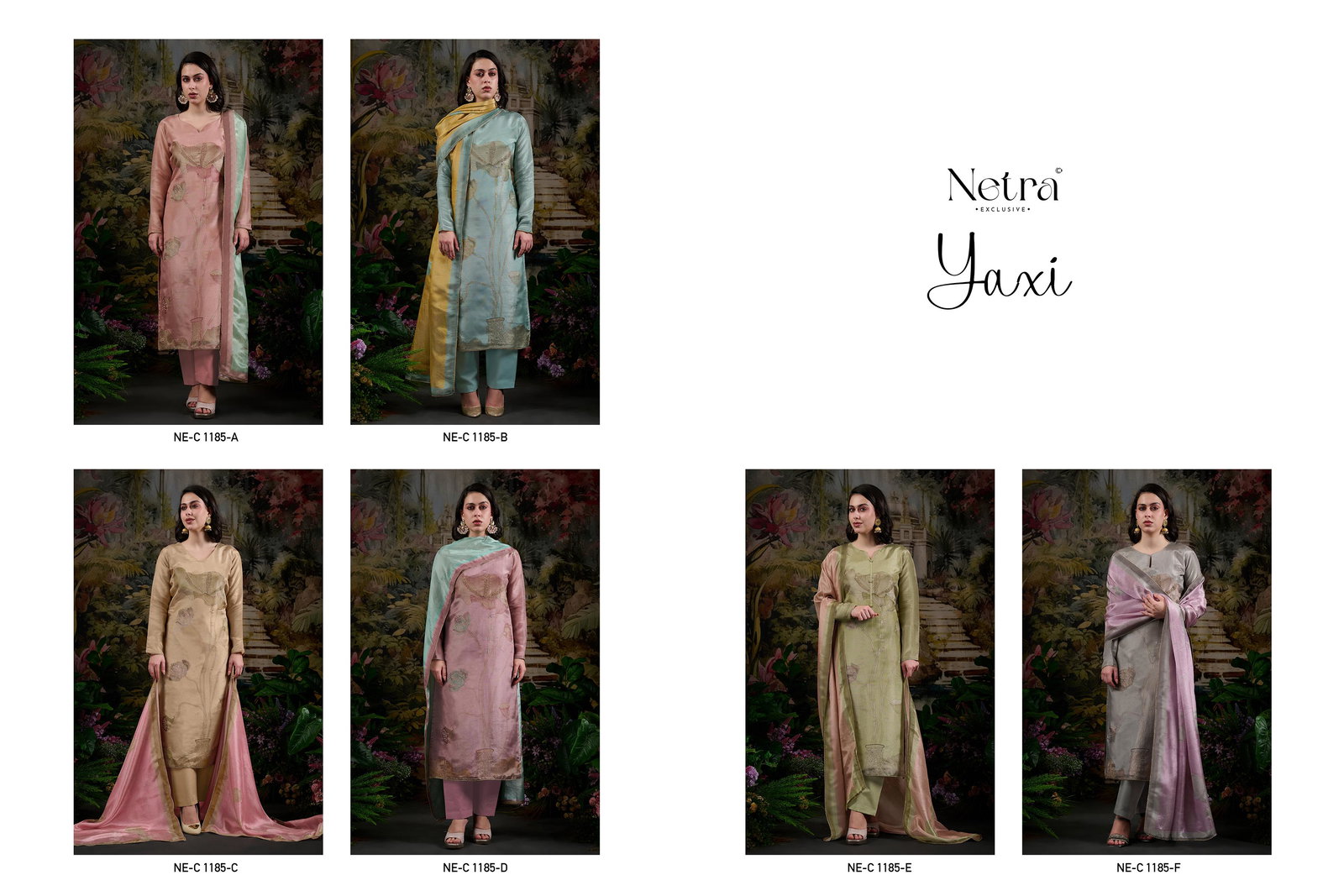 NETRA EXCLUSIVE YAXI SERIES NE-C1185A TO NE-C1185F 1