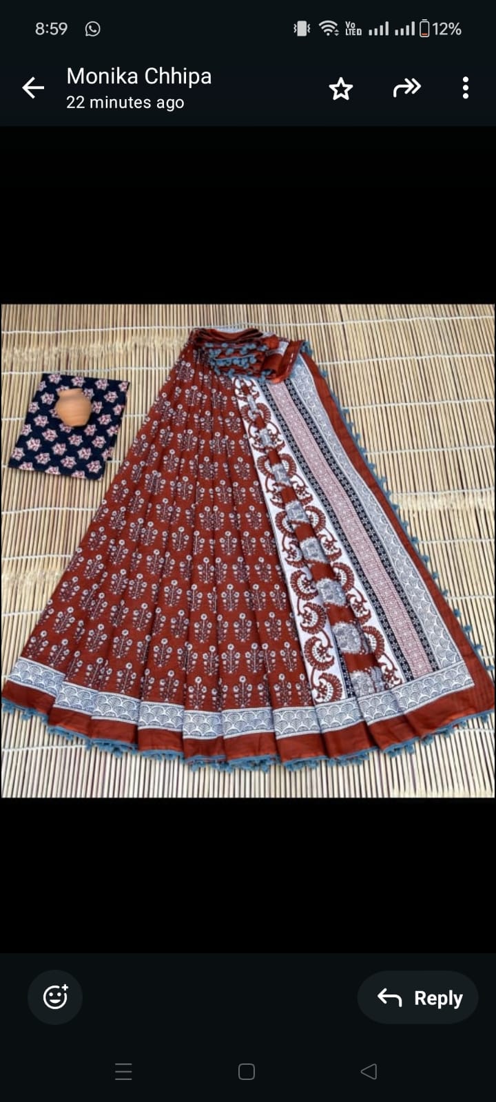 BAGRU PRESENT BLOCK PRINT SAREE WITH POMPOM 9