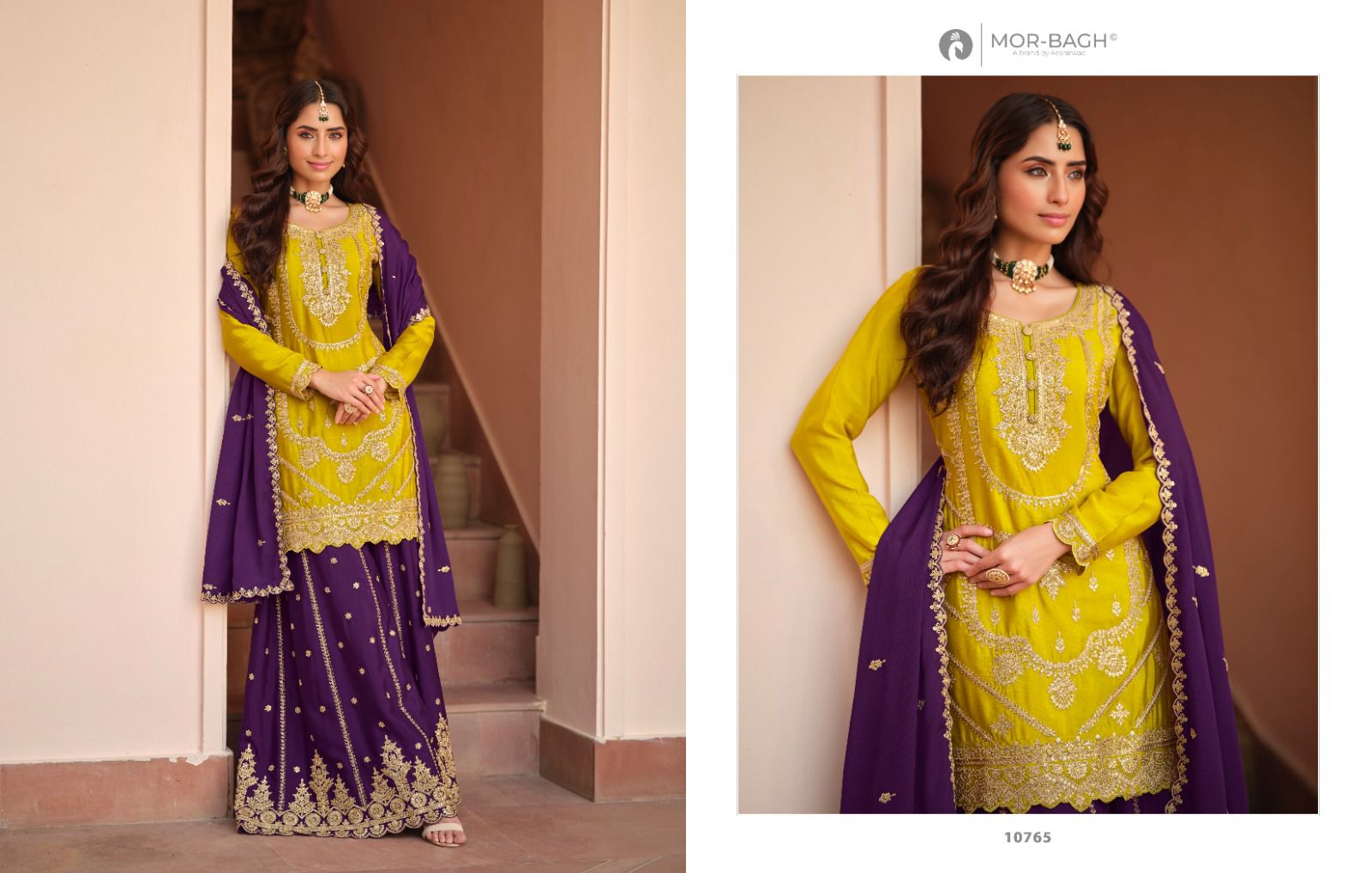 AASHIRWAAD CREATION PRESENT FREE SIZE STICHED RICHA SERIES 10763-10765 3