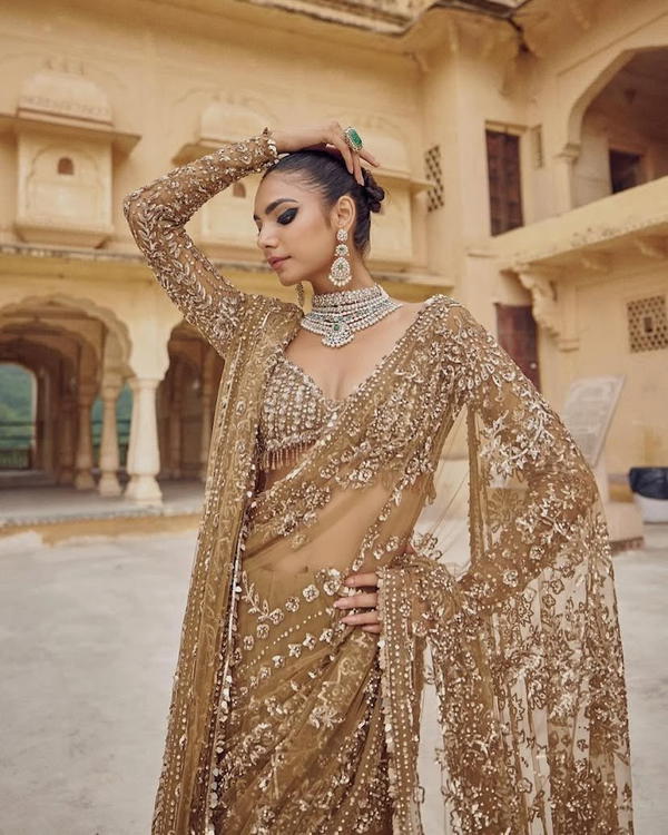DF 3441 BY DF DESIGNER BOLLYWOOD NET SAREE WHOLESALER IN INDIA