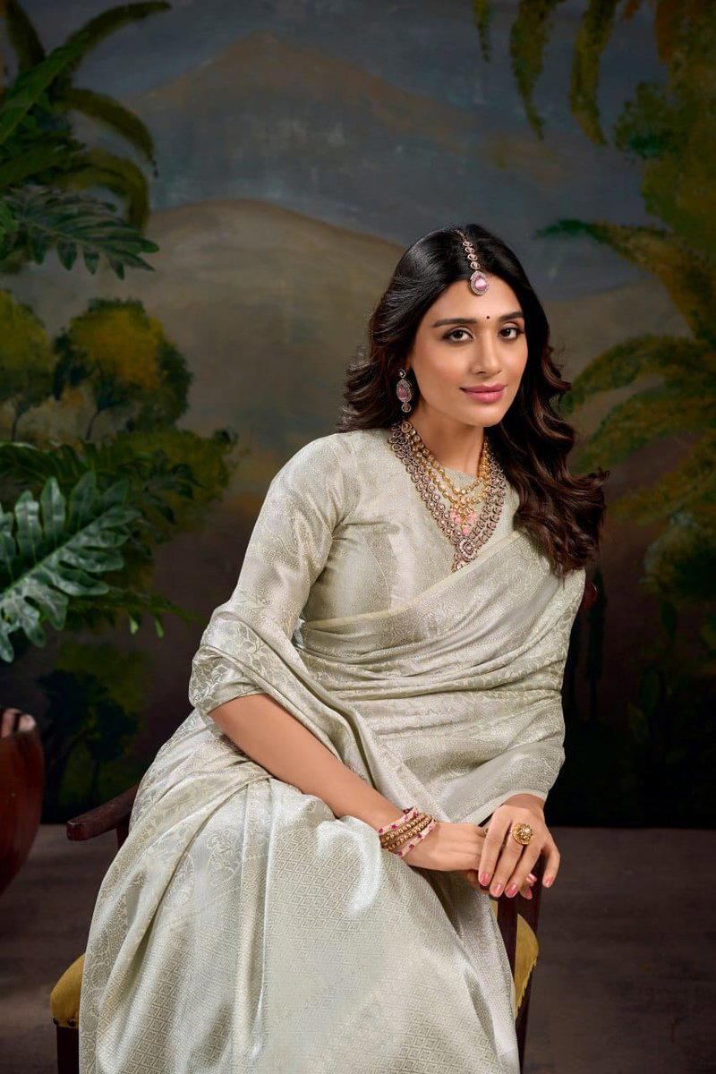LNB RAMYA 7404 DESIGNER SAREE WHOLESALER IN INDIA 1