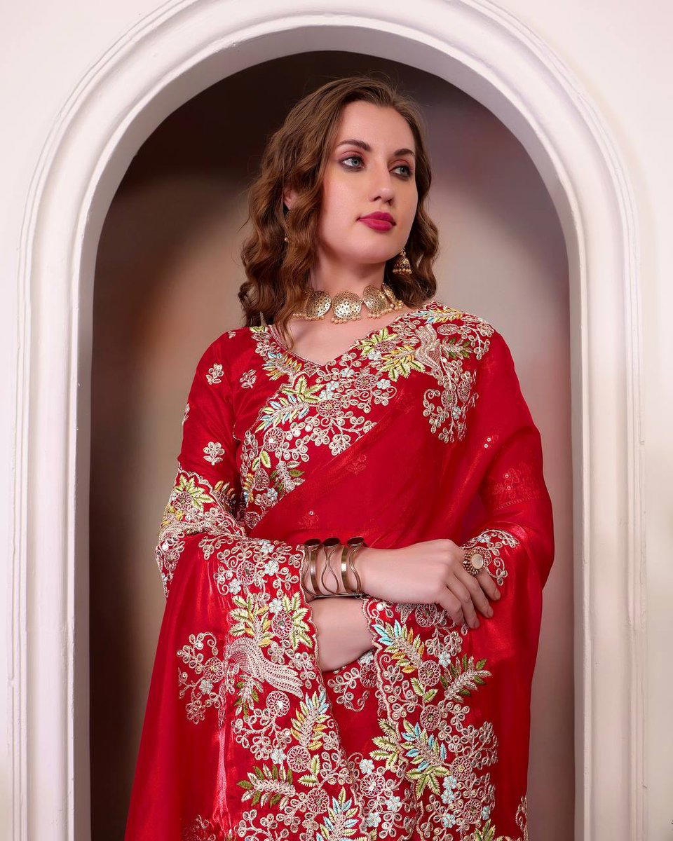 BT BT1260 DESIGNER SAREE WHOLESALER IN INDIA 1