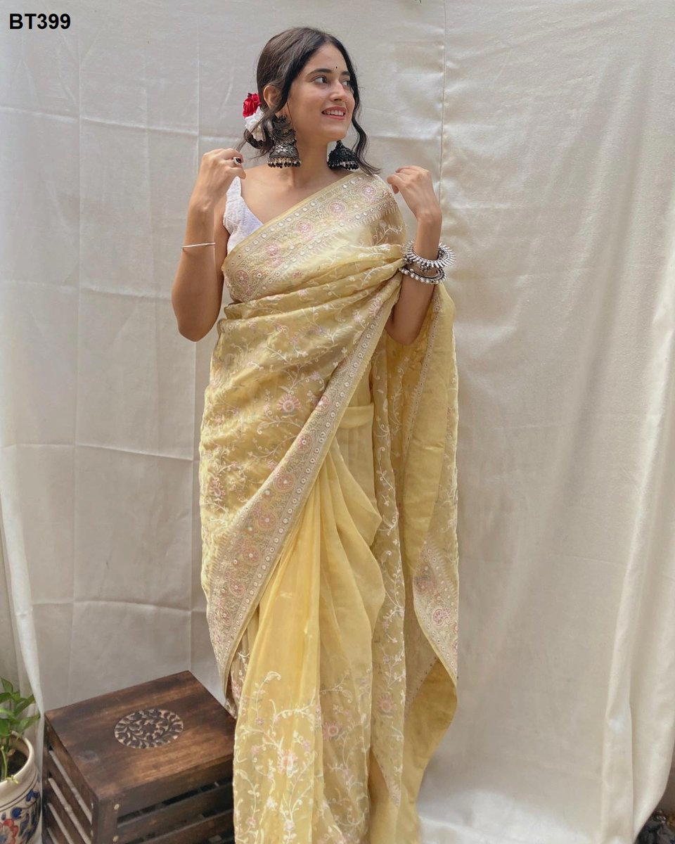 D.NO.  BY BT SOFT ORGANZA SILK SAREE WHOLESALER IN INDIA 1
