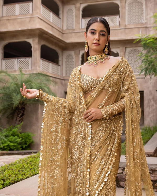 BT 388 BY BT DESIGNER NET SAREE WHOLESALER IN INDIA