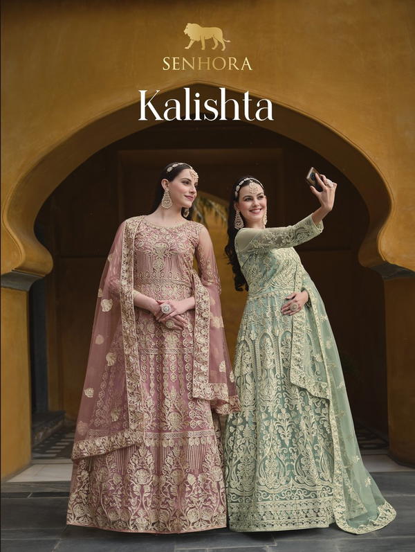 SERIES 3019 TO 3022 BY SENHORA BUTTERFLY NET ANARKALI GOWN WHOLESALER IN INDIA