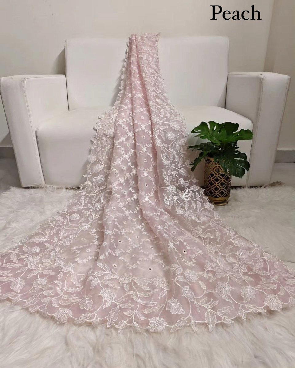 LUCKNAWI BY RAA ORGANZA SILK SAREE MANUFACTURER IN INDIA 1
