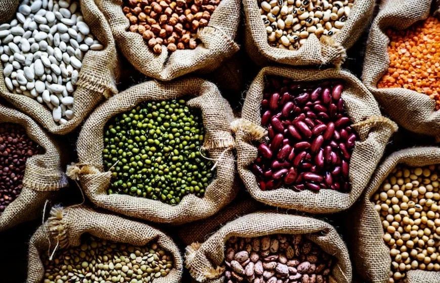 Organics Pulses