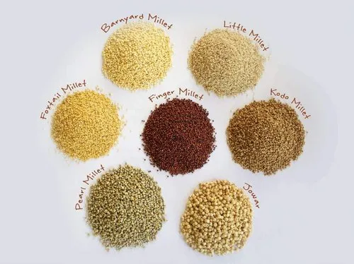Organics Millets