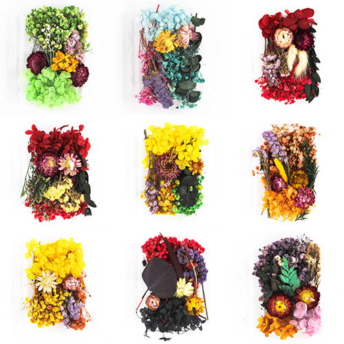 Flowers  / Grass