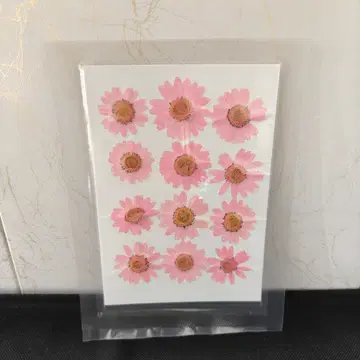 Pressed Flower_Daisy Pink