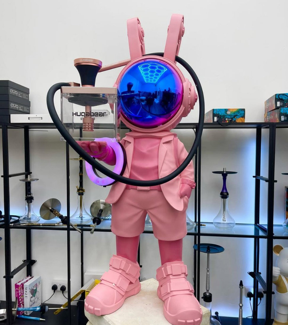 The Bunny Astronaut 7