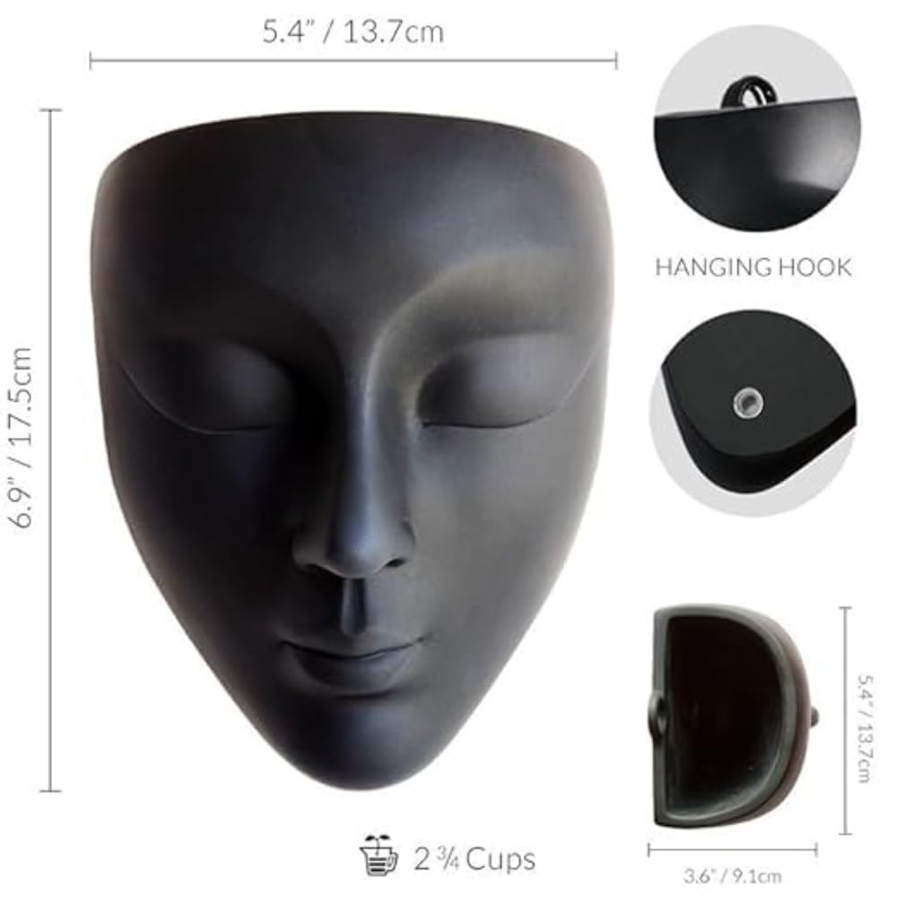 Face Wall Hanging Planter 3