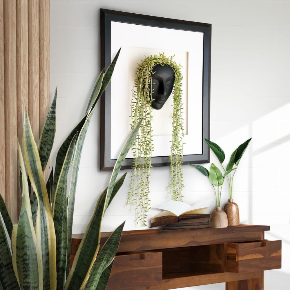 Face Wall Hanging Planter 2