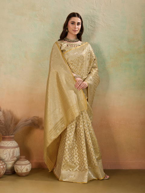 BFM Woven, Embellished Banarasi Tissue Saree