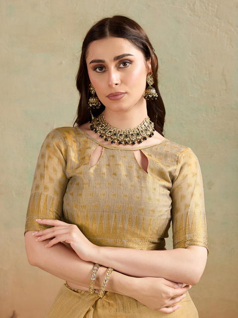 BFM Woven Bollywood Tissue Saree