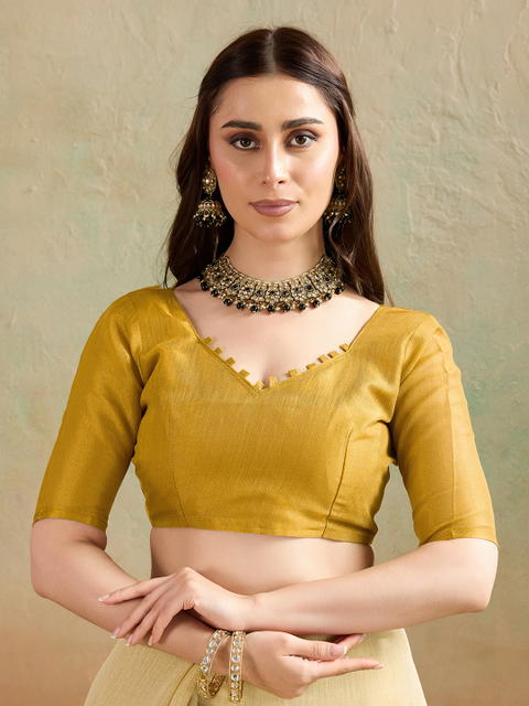 BFM Woven Bollywood Tissue Saree