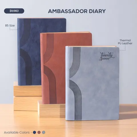 Ambassador Diary