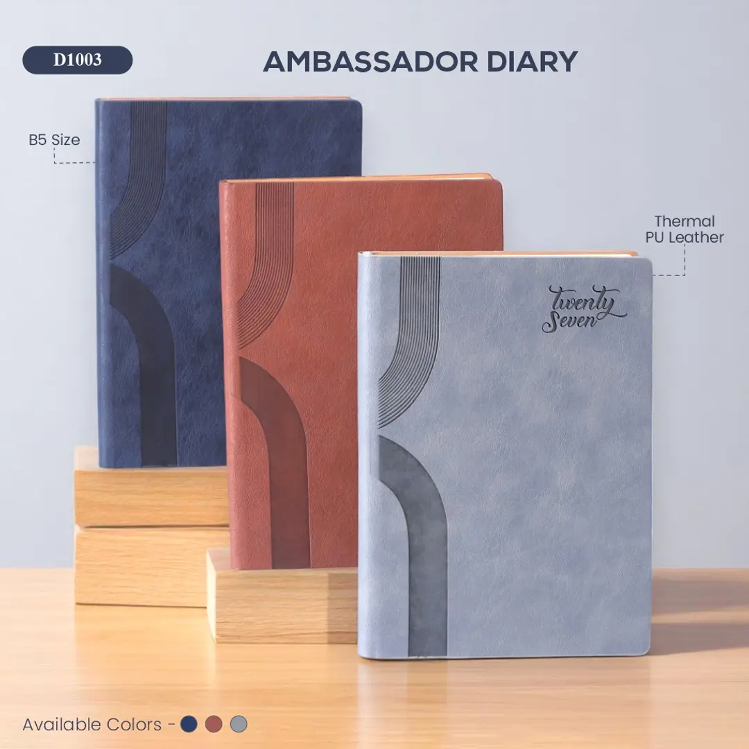 Ambassador Diary 1