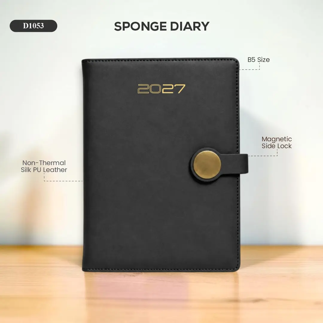Sponge Diary 1