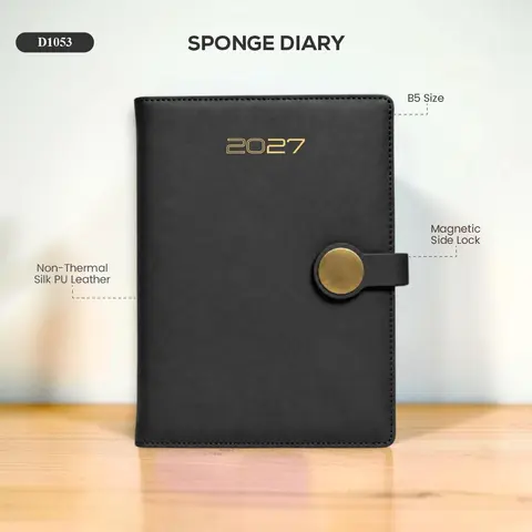 Sponge Diary